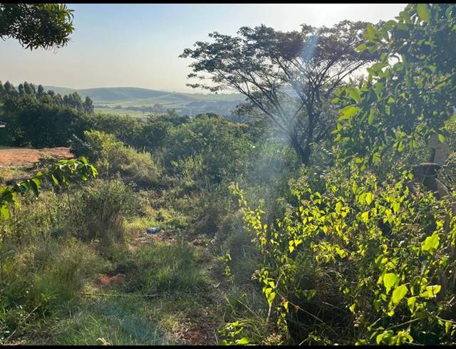 LAND FOR SALE IN MTUNZINI